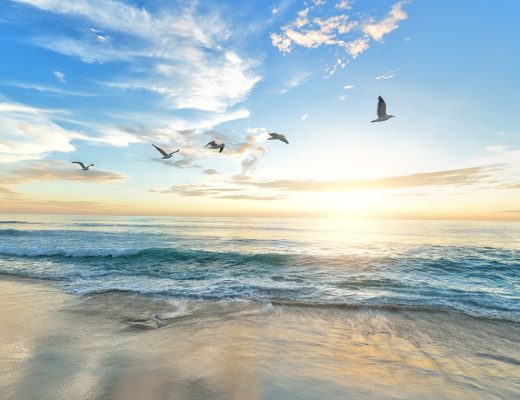 La Vendée, un paradis pour les vacances en famille !