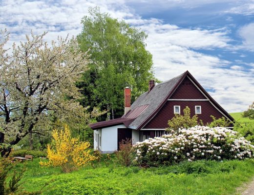 Location d'un gîte dans l'Orne : votre séjour de rêve en Normandie