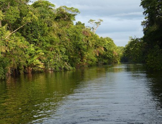 Voyagez au Costa Rica avec l'accompagnement d'une agence