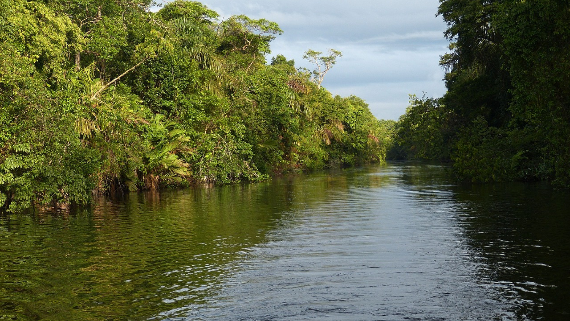 Voyagez au Costa Rica avec l'accompagnement d'une agence